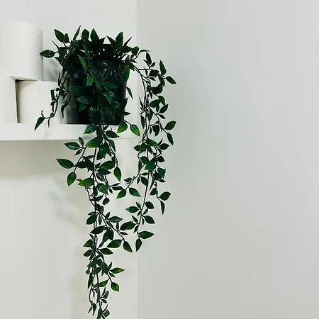 Be My Apparts, De Charme 